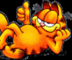 Meet your Posher, Bo